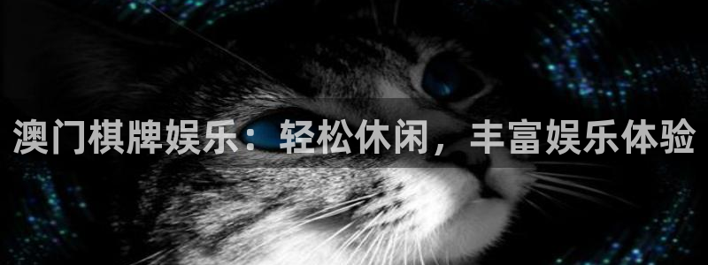 天富平台平台管网入口