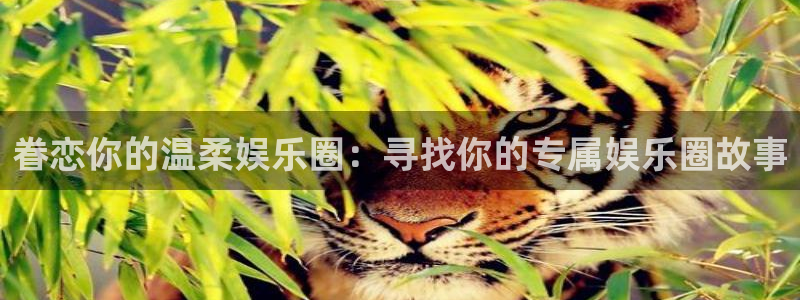 天富平台注册链接入口