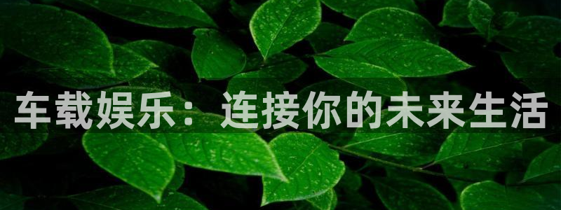 天富平台app下载