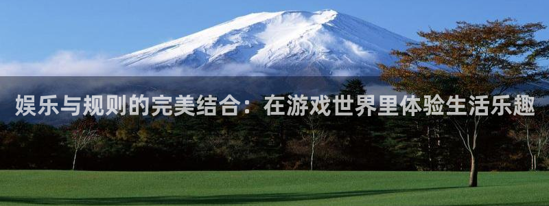 天富平台分红代理计划