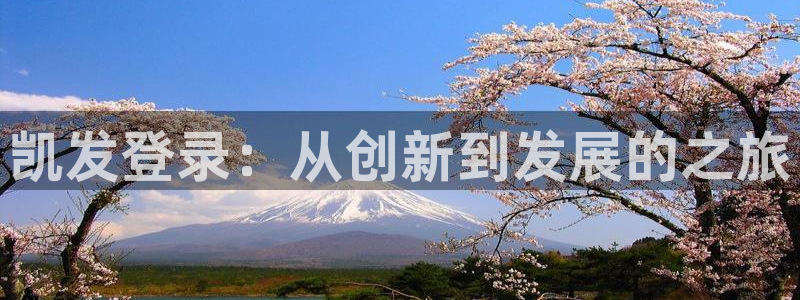 壹号平台app下载安装