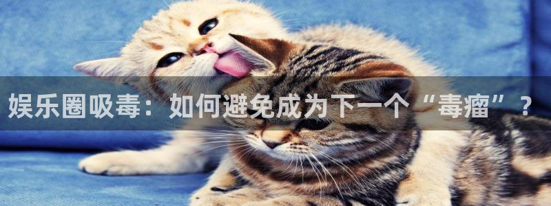 天富平台在线下载