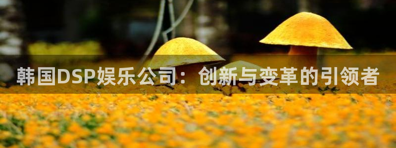 天富平台注册