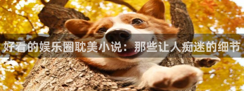 天富平台游戏官网平台
