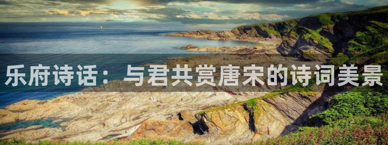 伟德国际集团 壹号(one game)