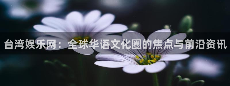 天富平台,apk.1：台湾娱乐网：全球华语文化圈的焦点与前沿资讯