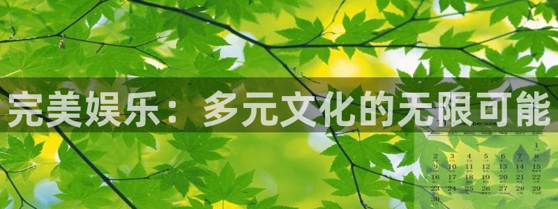 壹号app下载官方网站：完美娱乐：多元文化的无限可能