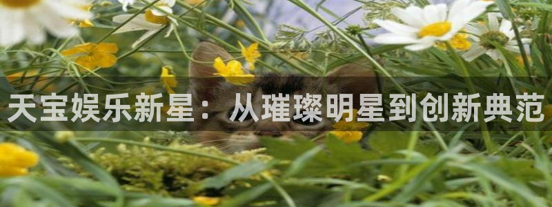 天富平台平台最新版本下载：天宝娱乐新星：从璀璨明星到创新典范