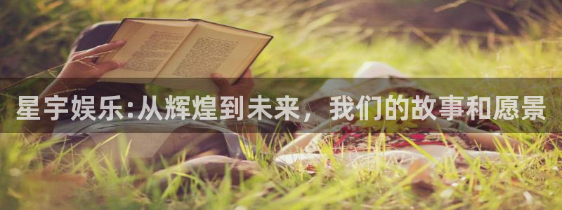 电子游戏天富平台：星宇娱乐:从辉煌到未来，我们的故事和愿景