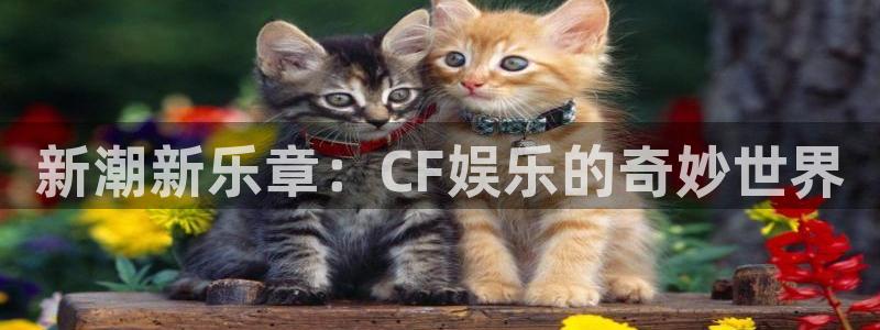 苹果版天富平台下载安装