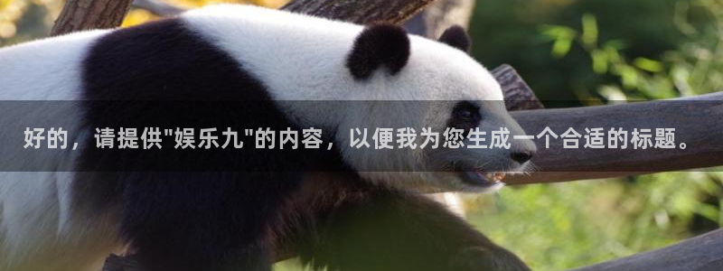 壹号平台下载安装官网