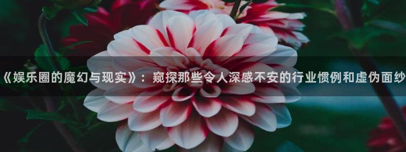 天富平台网站登录流程