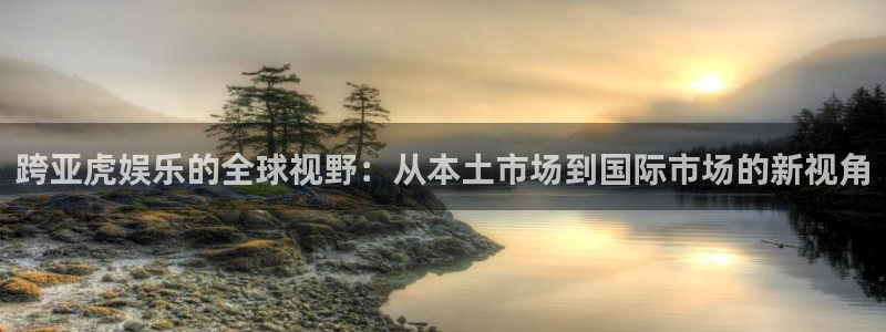 天富平台娱乐：跨亚虎娱乐的全球视野：从本土市场到国际市场的新视角